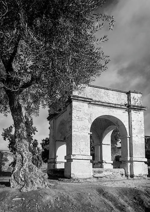 At the Alcazaba Merida Spain by Joan Carroll At the Alcazaba Merida Spain by Joan Carroll